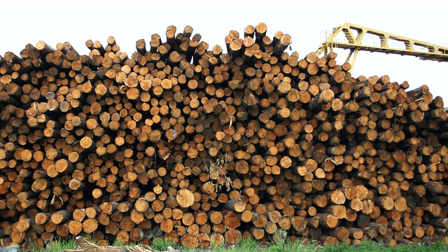 木材業界