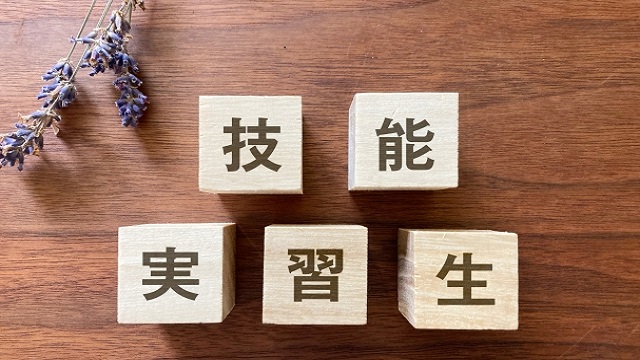 技能実習制度