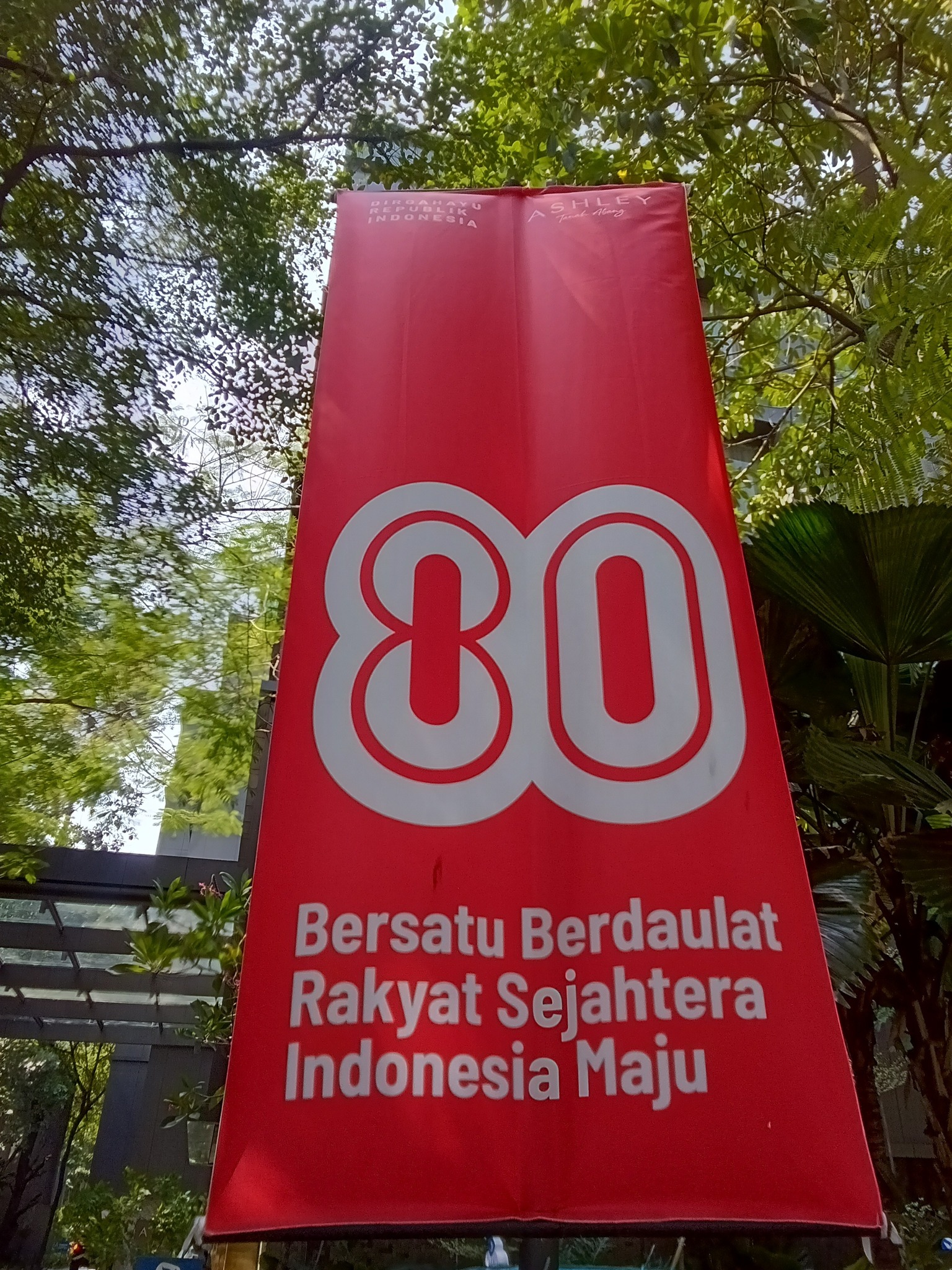 ｲﾝﾄﾞﾈｼｱ現地面接